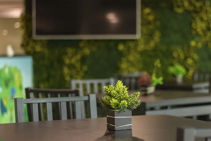 Terraza — foto 2